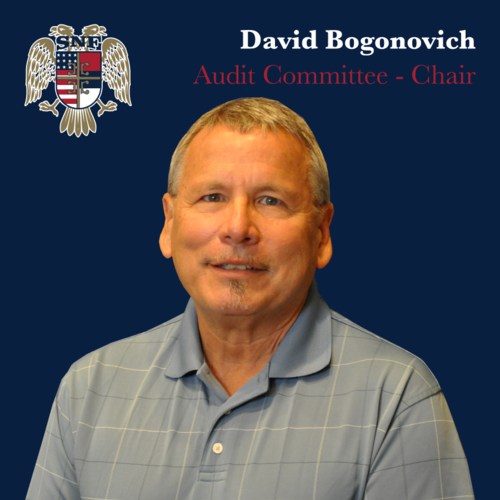 David Bogonovich